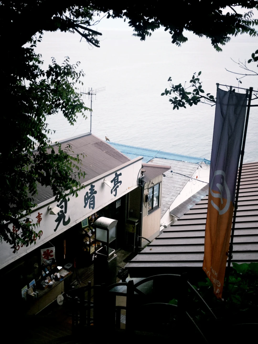 江之岛免费进岛，看景要花钱：我把20多条实访记录翻完，替你算清这半天怎么花