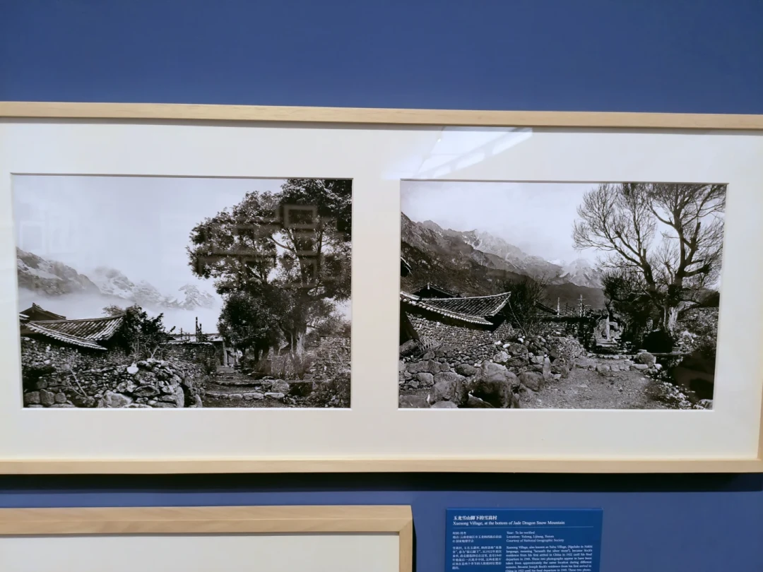 120元通票看5个展,有人说“避雷”有人说值回票价:谢子龙9月底换展前,把这笔钱讲明白