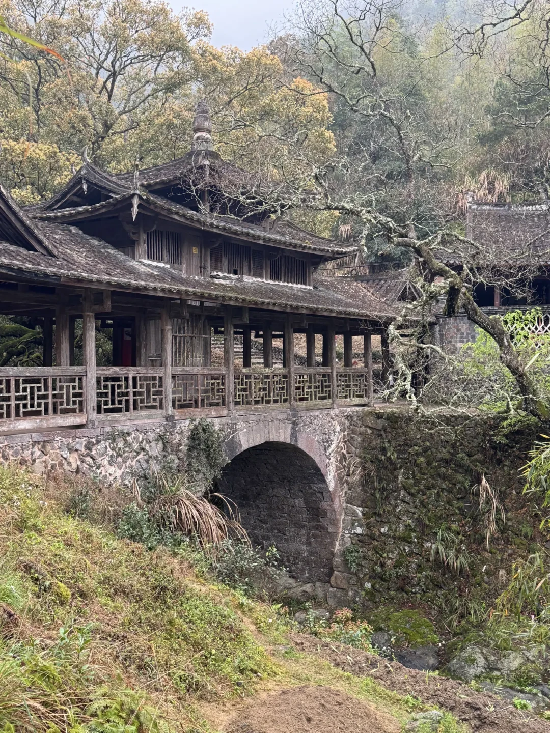 廊桥保护三年行动交卷:2193座桥、一个北京展和两条值得规划的实地路线