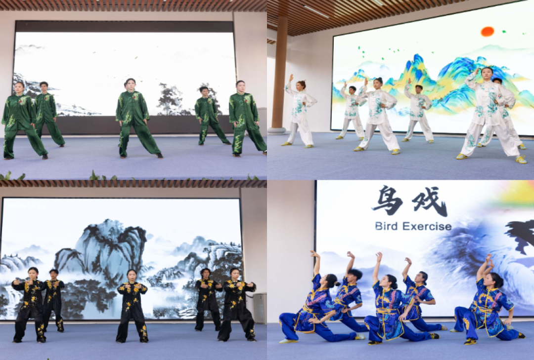 八段锦团体标准发布+初学者版本选择避坑指南