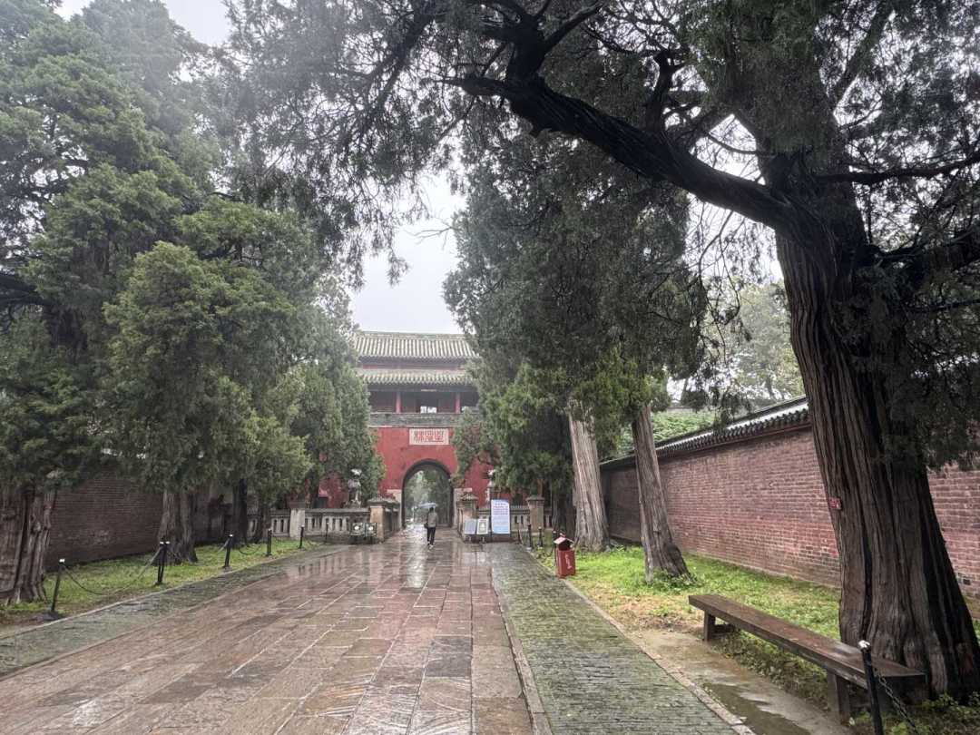 孔林是三孔里口碑最分裂的景点:“花钱看坟”还是“宝藏”?翻了近期几百条真实体验,我想明白了