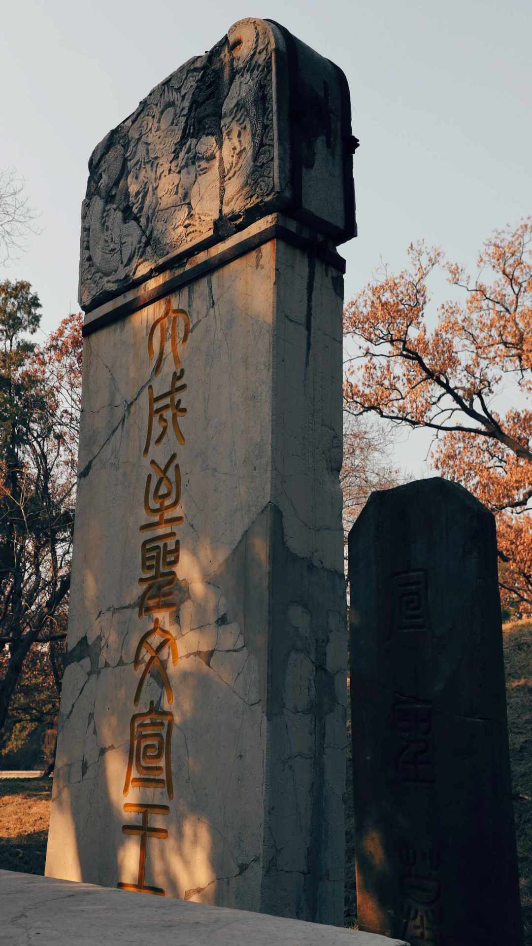 孔林是三孔里口碑最分裂的景点:“花钱看坟”还是“宝藏”?翻了近期几百条真实体验,我想明白了