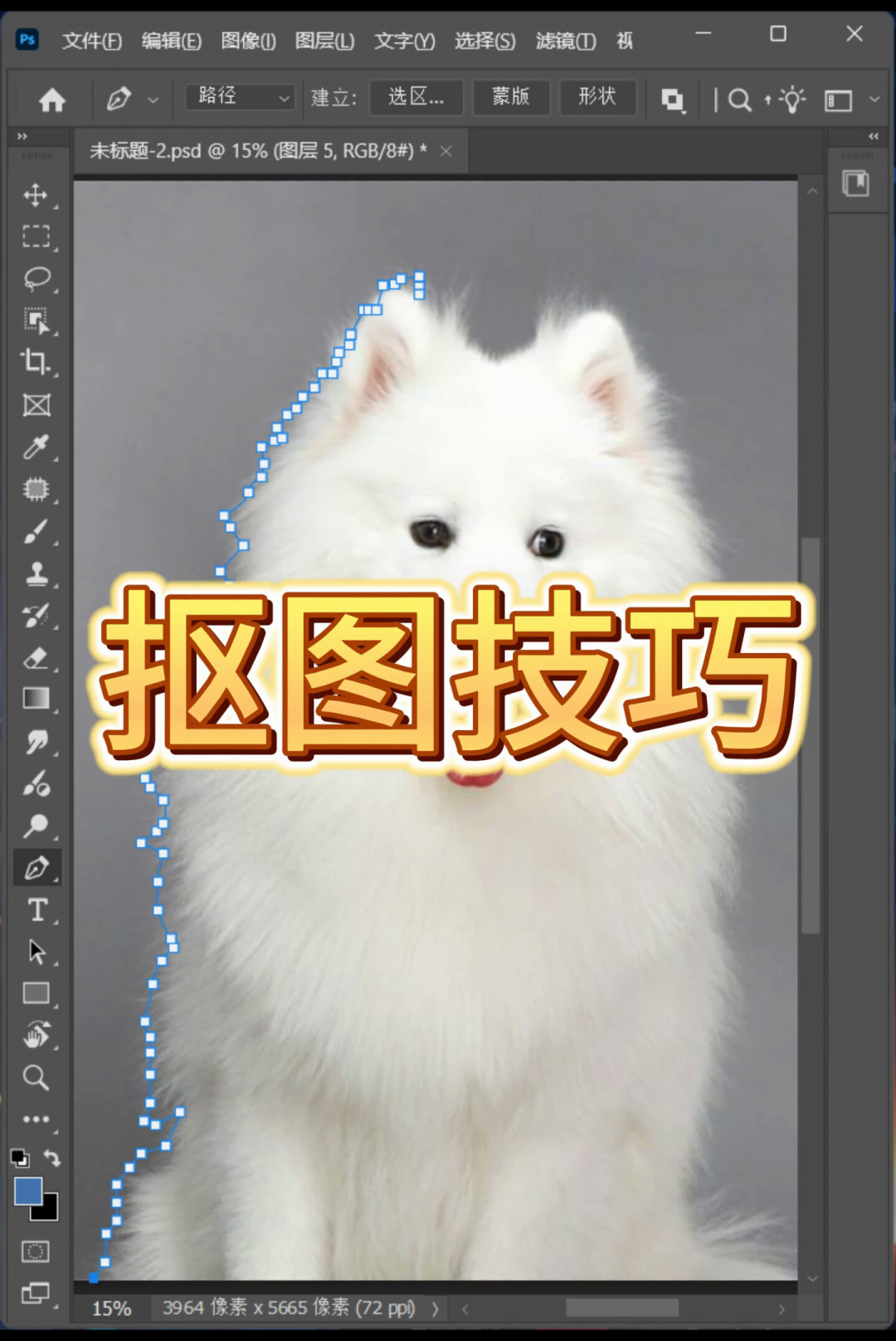 约稿修图卷到1元一张,影楼还敢收100多:PS修图的百倍价差,差在哪?