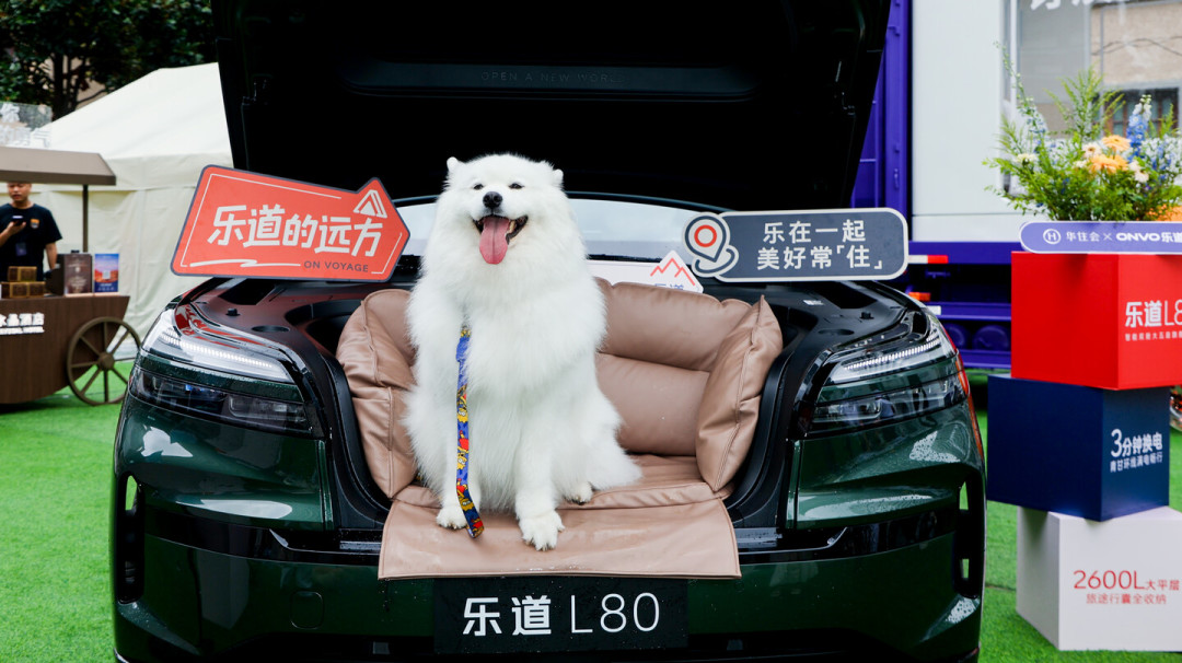 同一条青甘大环线:有人凌晨1点排队充不上电,有人6800公里只充了四五次——乐道车主出发前搞懂这三类路段和一套福利