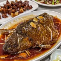 天津罾蹦鲤鱼