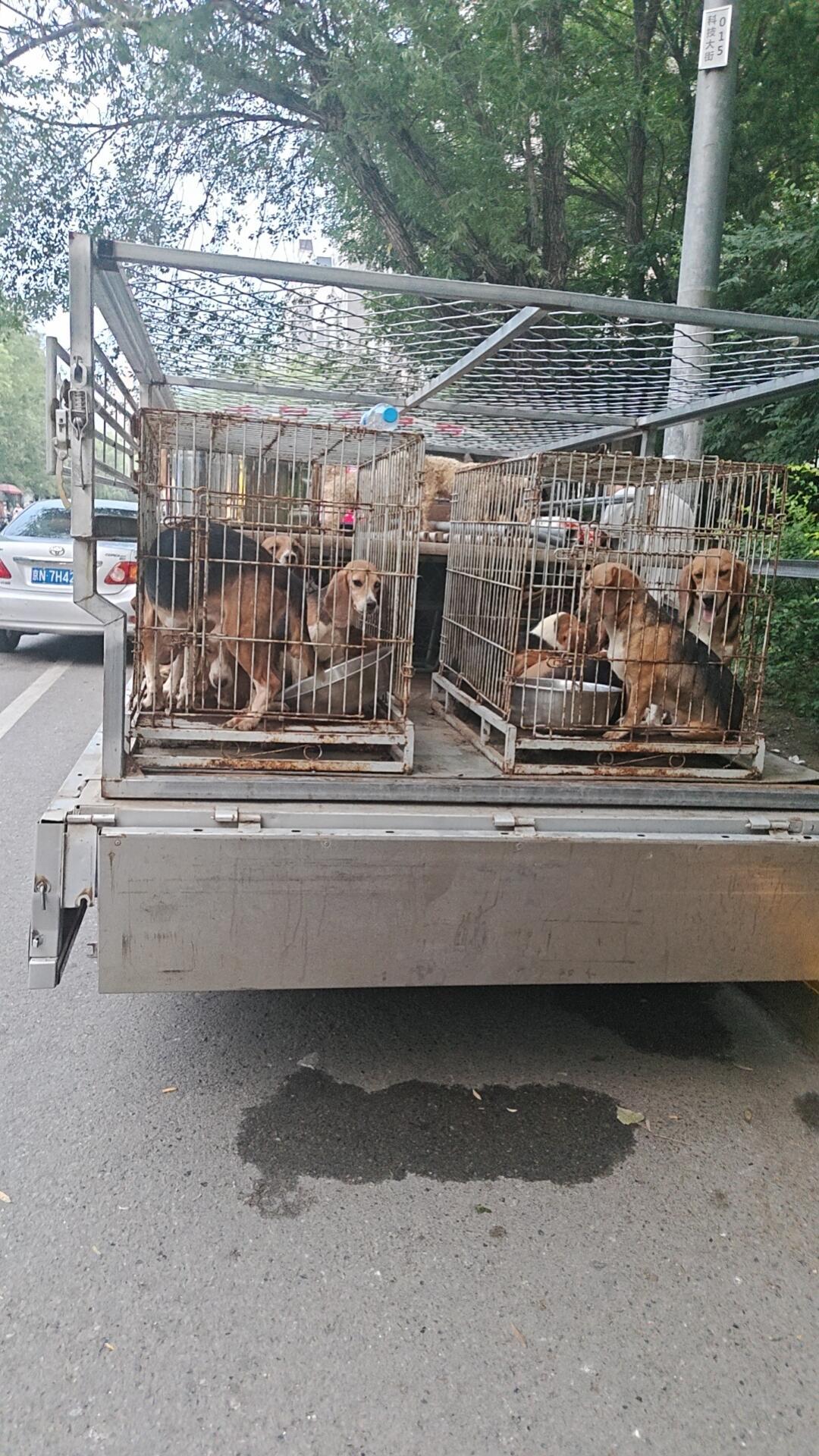 15年了,同样的套路还在收割善良:想给