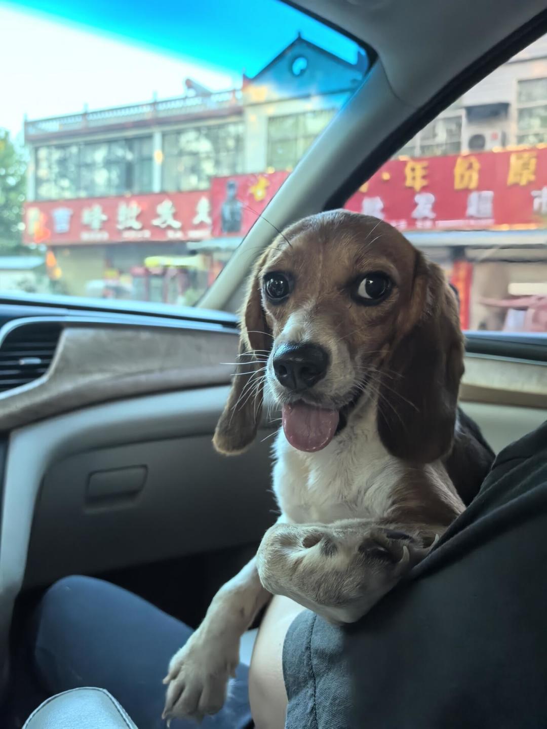 15年了,同样的套路还在收割善良:想给