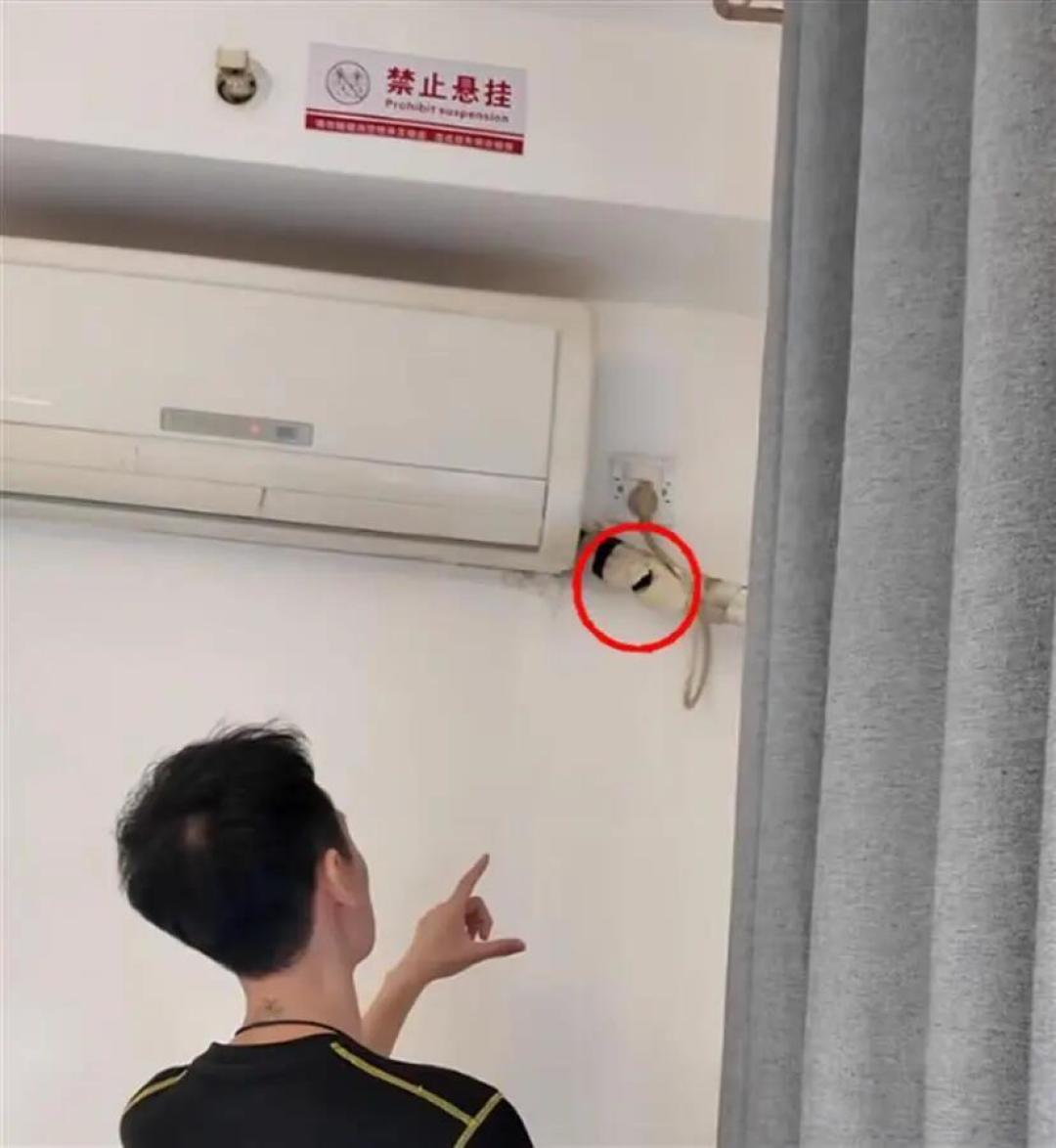 1年,6起民宿监控曝光:房间里的摄像头其实分两种,一种谈,一种报警