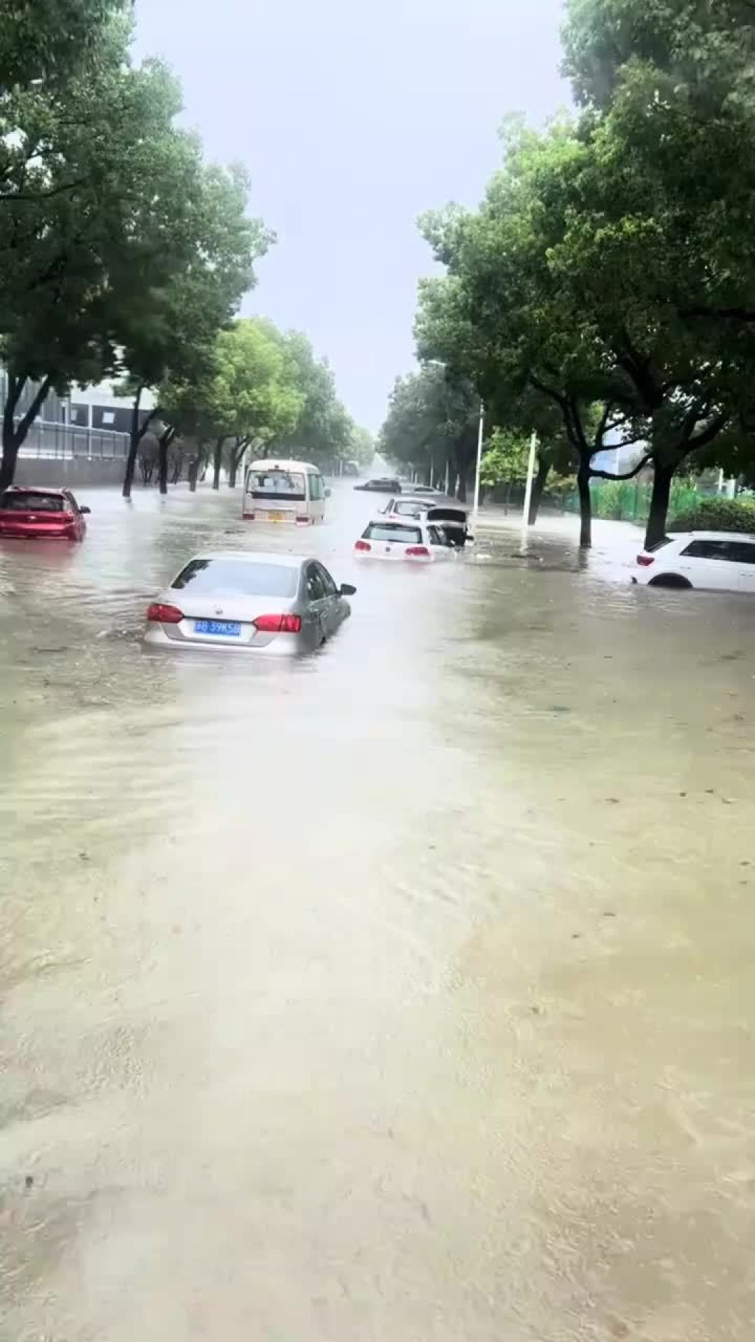 车险到底提前多久续保最合适？我们核对了各地窗口期：30、45、55天都有人说，唯一不能拖的是到期日