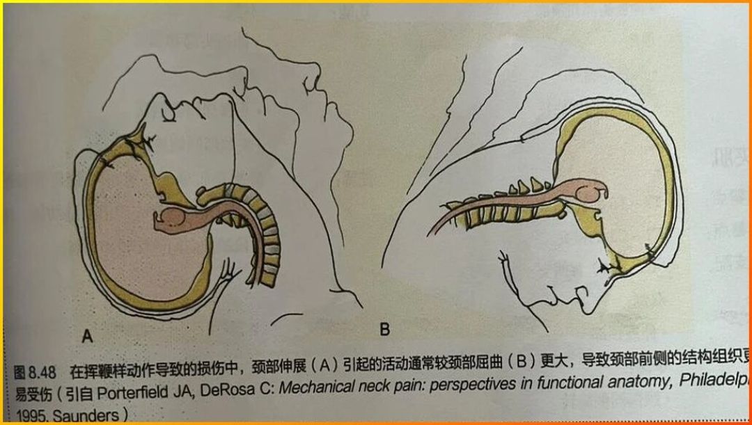 这6样新车最想装的车品,每一样都有问题:翻完4个平台的避坑帖,机制和替代方案都在这