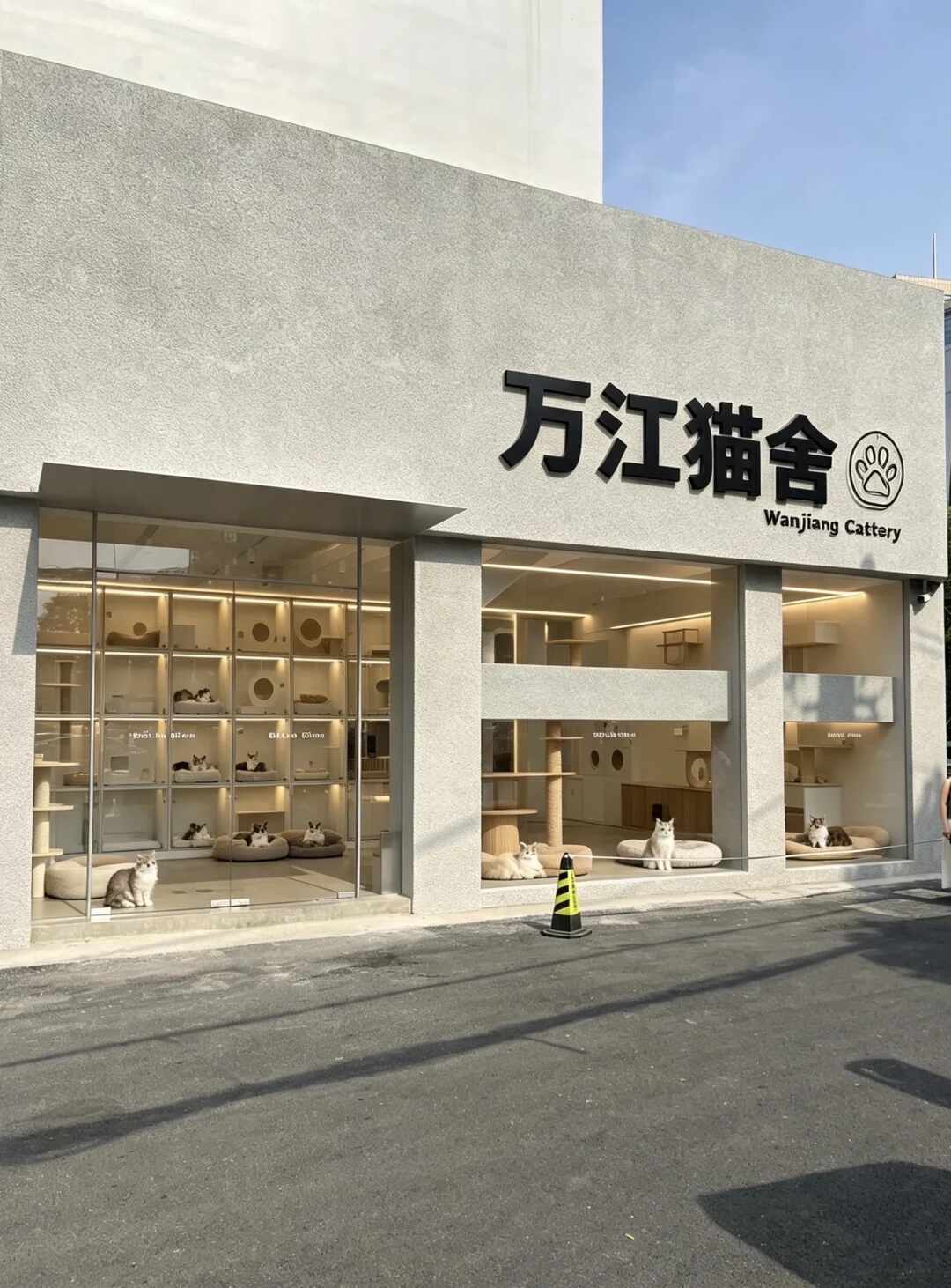 顶流猫舍被骂