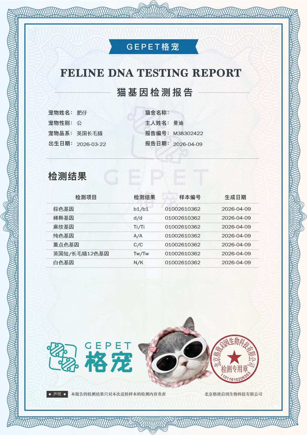 顶流猫舍被骂