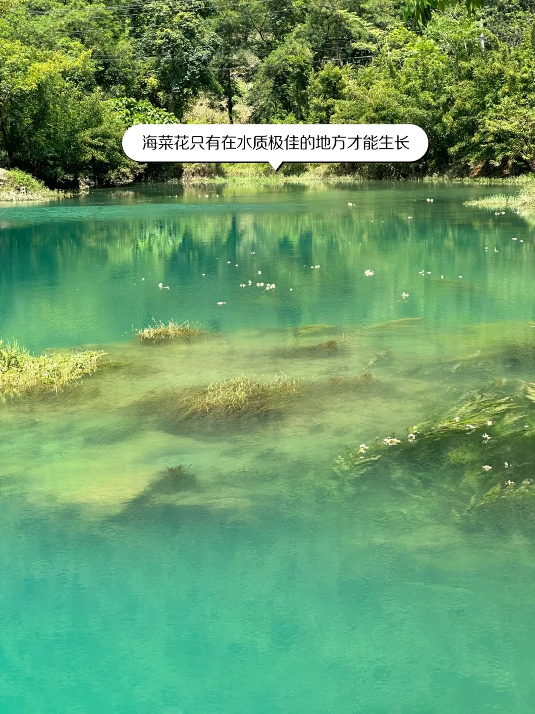 “要是他有个表估计就活不下来了”:墨西哥渔夫被困百米水下洞穴15天,但洞潜的4条红线不能靠运气