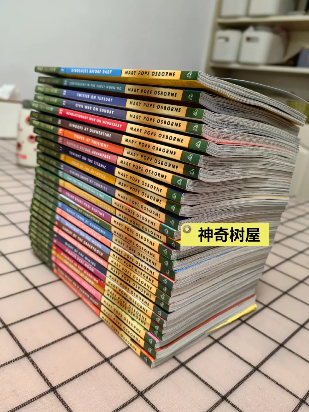 《神奇树屋》买了不读?B站8.4万收藏的有声书,提示了正确打开方式