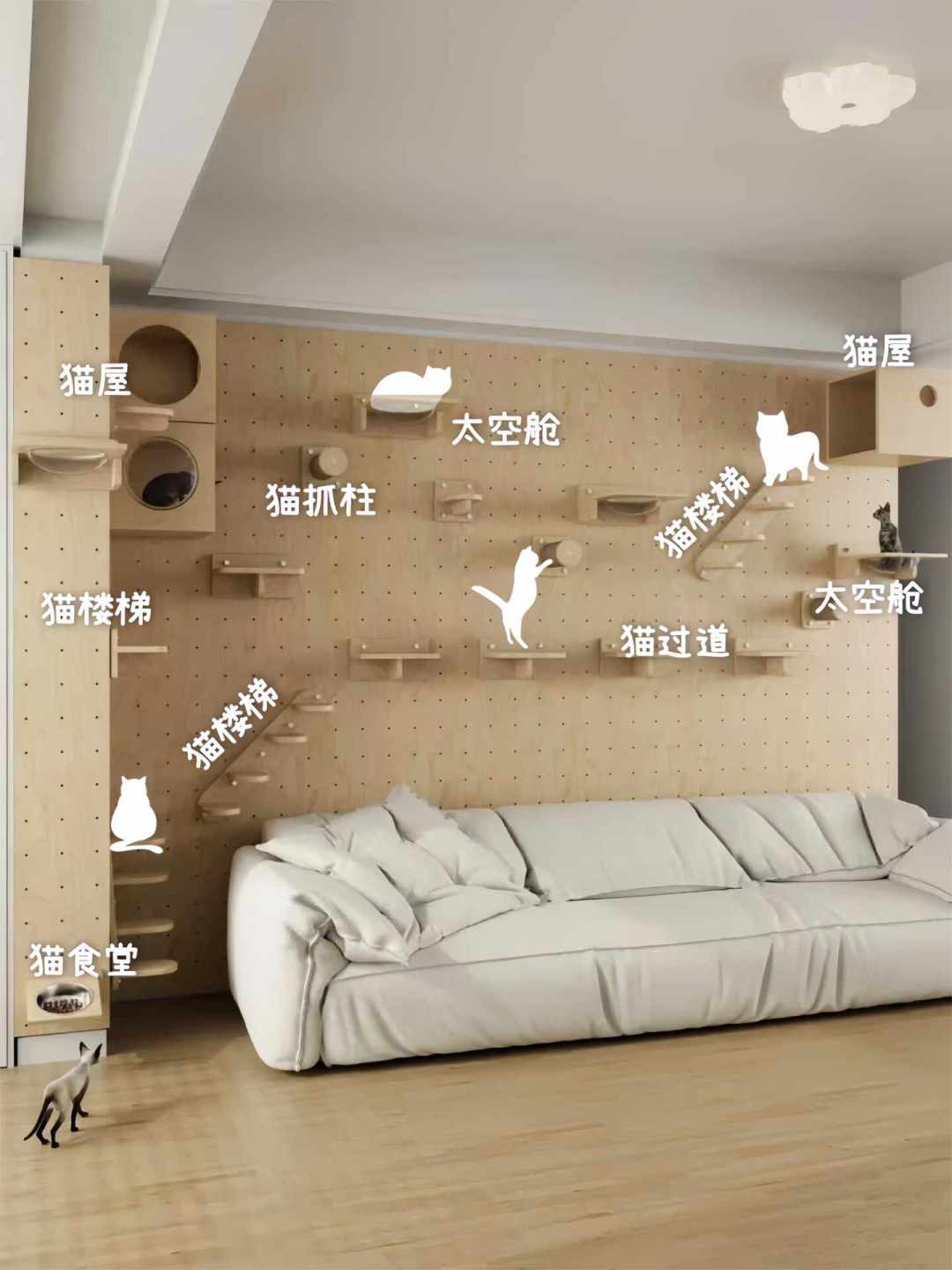 猫墙从80块到2000块能走多远:四条路线的成本、适配和坑,一次算清