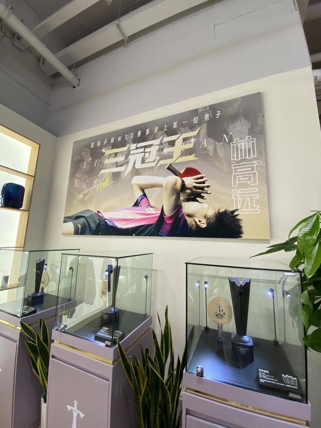 林高远又被卷进乒超新规争议:退出国家队的老将,正把日子过得比现役还忙