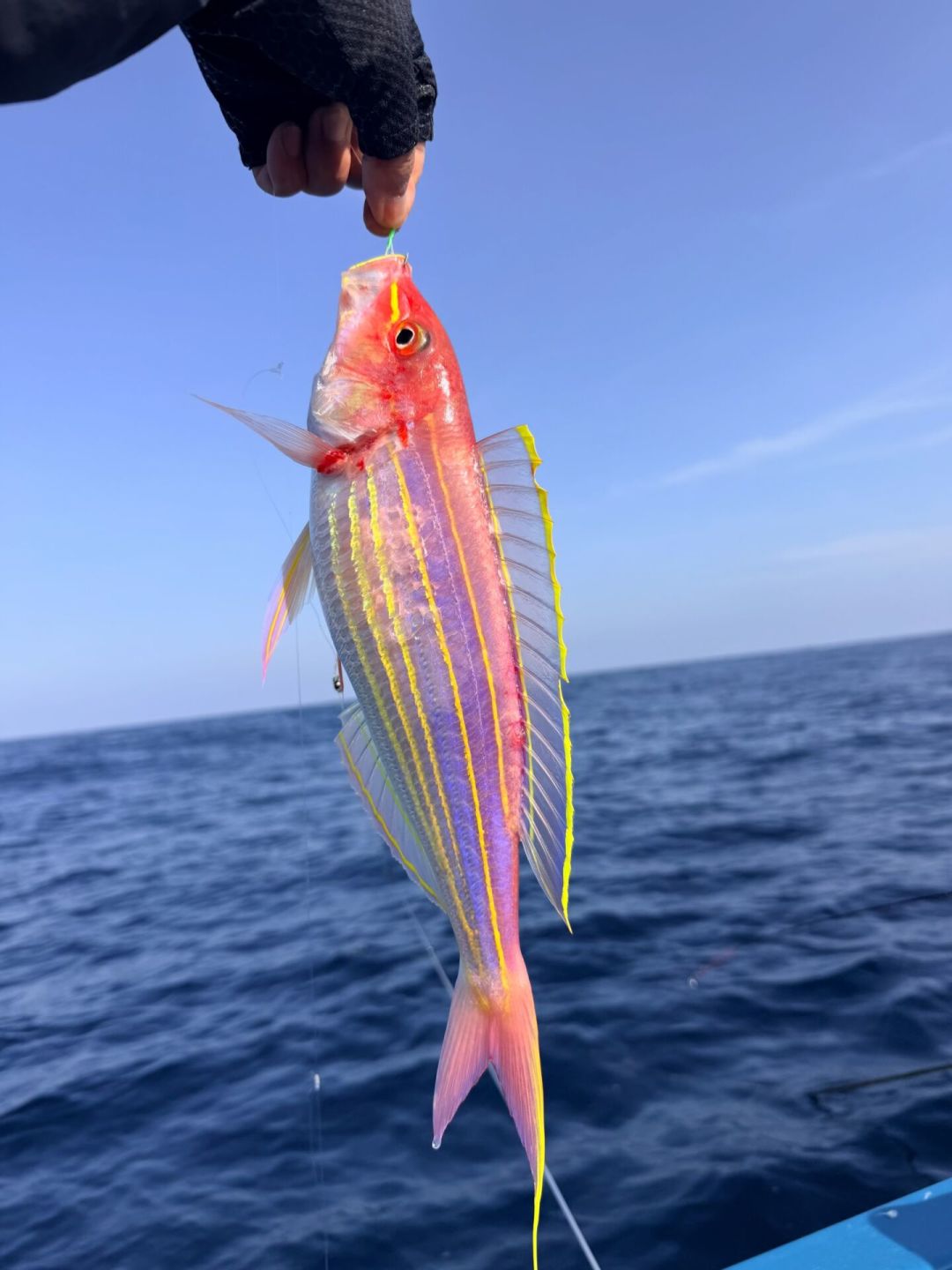 9月1日中午12时，黄渤海开海：我翻完开海时间表、装备讨论帖和包船报价，把淡水钓友转海钓该花的钱理成三档