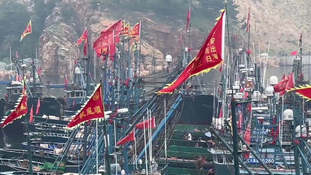 9月1日中午12时，黄渤海开海：我翻完开海时间表、装备讨论帖和包船报价，把淡水钓友转海钓该花的钱理成三档