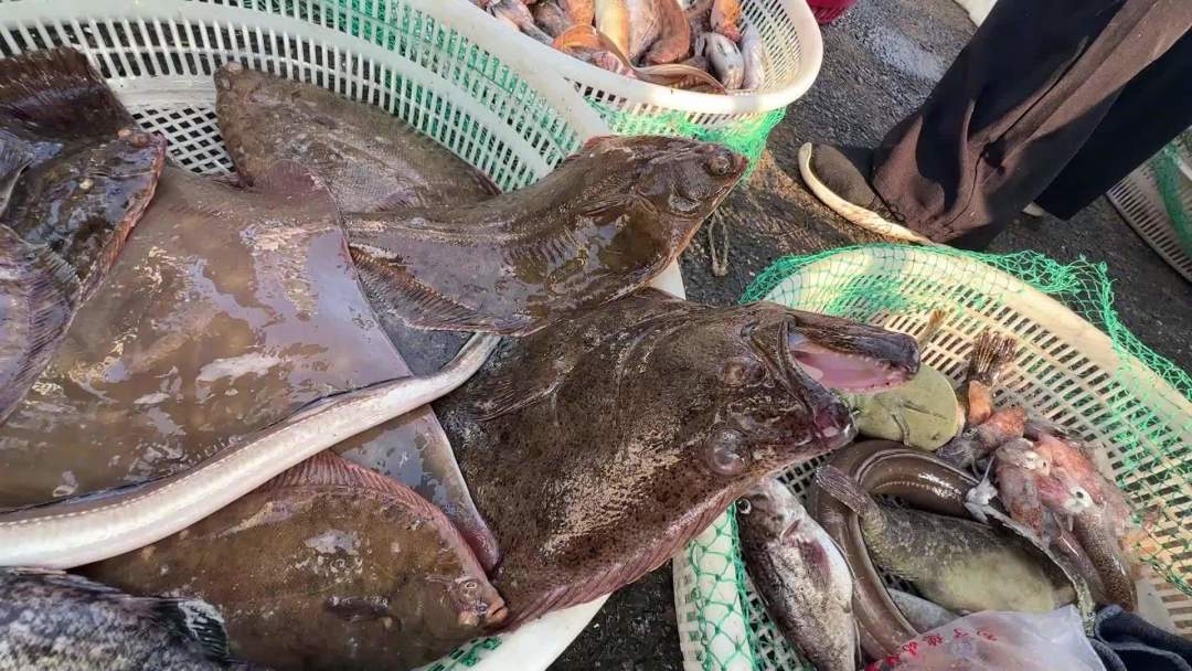 9月1日中午12时，黄渤海开海：我翻完开海时间表、装备讨论帖和包船报价，把淡水钓友转海钓该花的钱理成三档