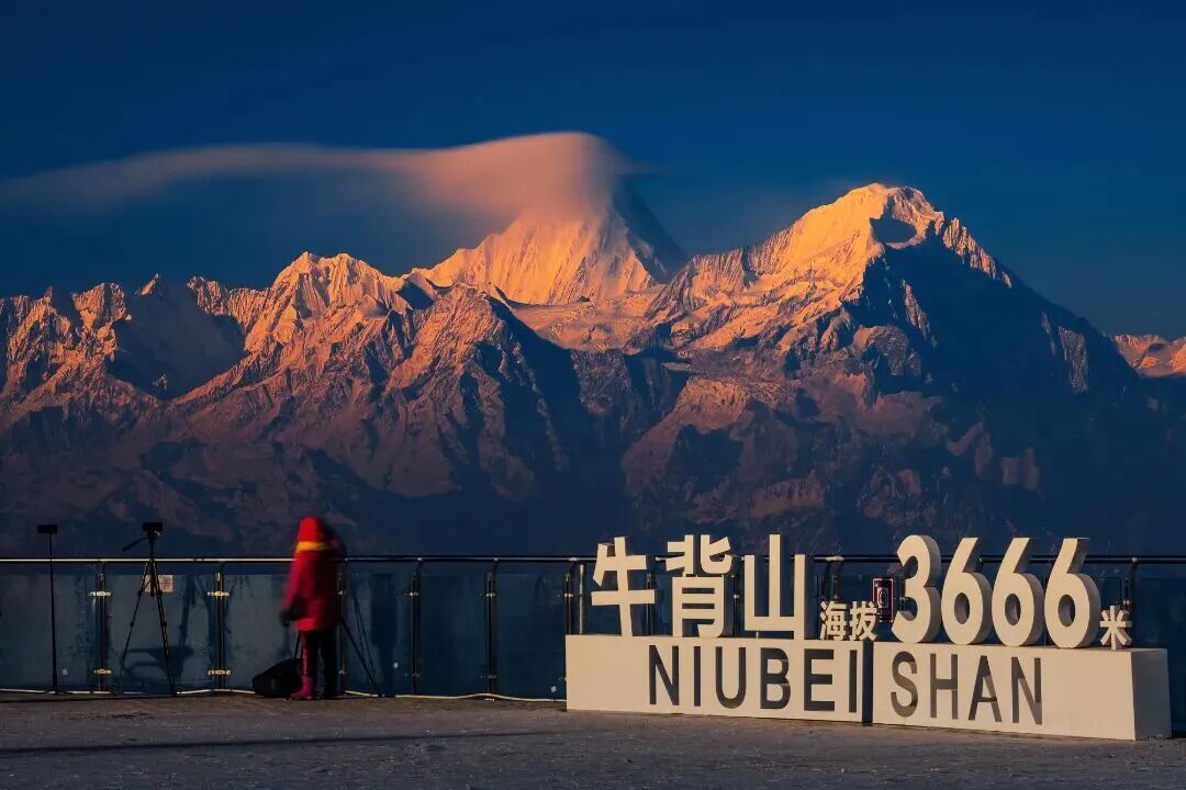 半个朋友圈都在转
