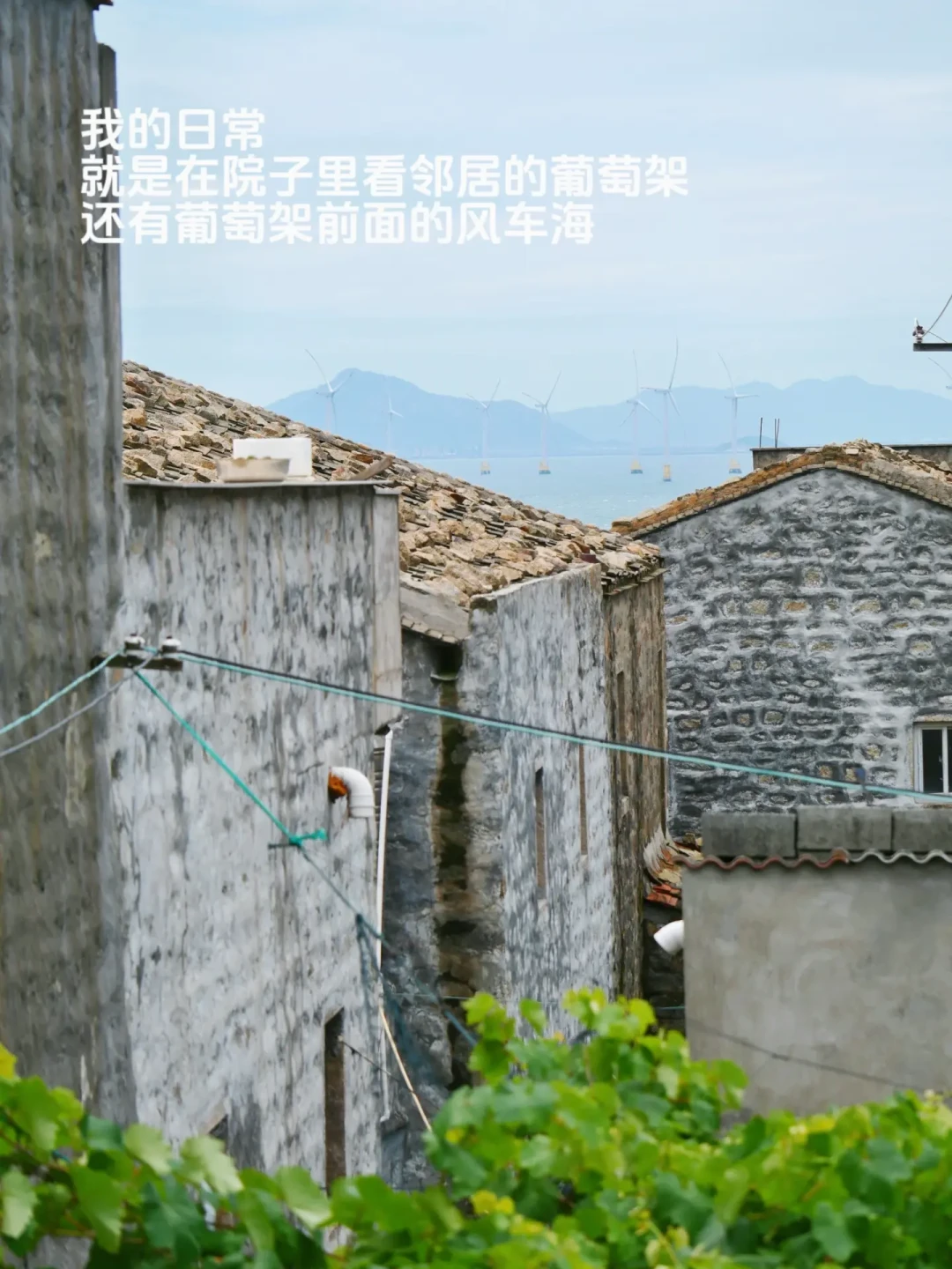 辞职上岛月租500元的海景石头厝刷屏:看完平潭旅居者的“打脸账”,房租是岛上最便宜的东西