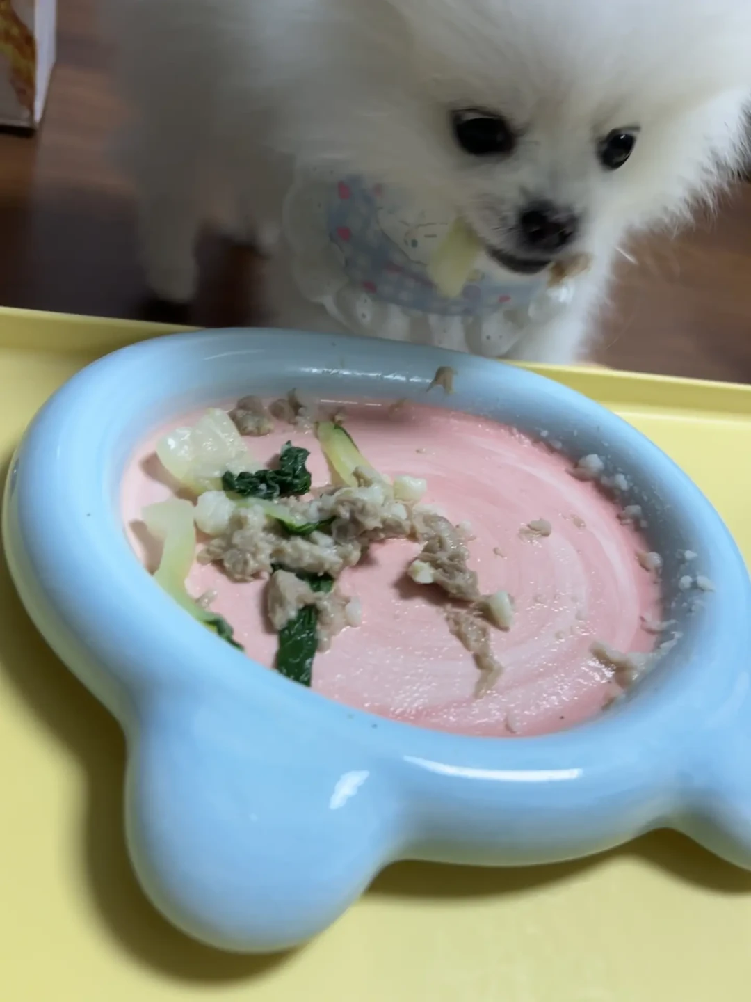 出伏了，别急着给狗“贴秋膘”：胰腺炎轻则五六千、重则上万，起因常是“就多吃了一口”