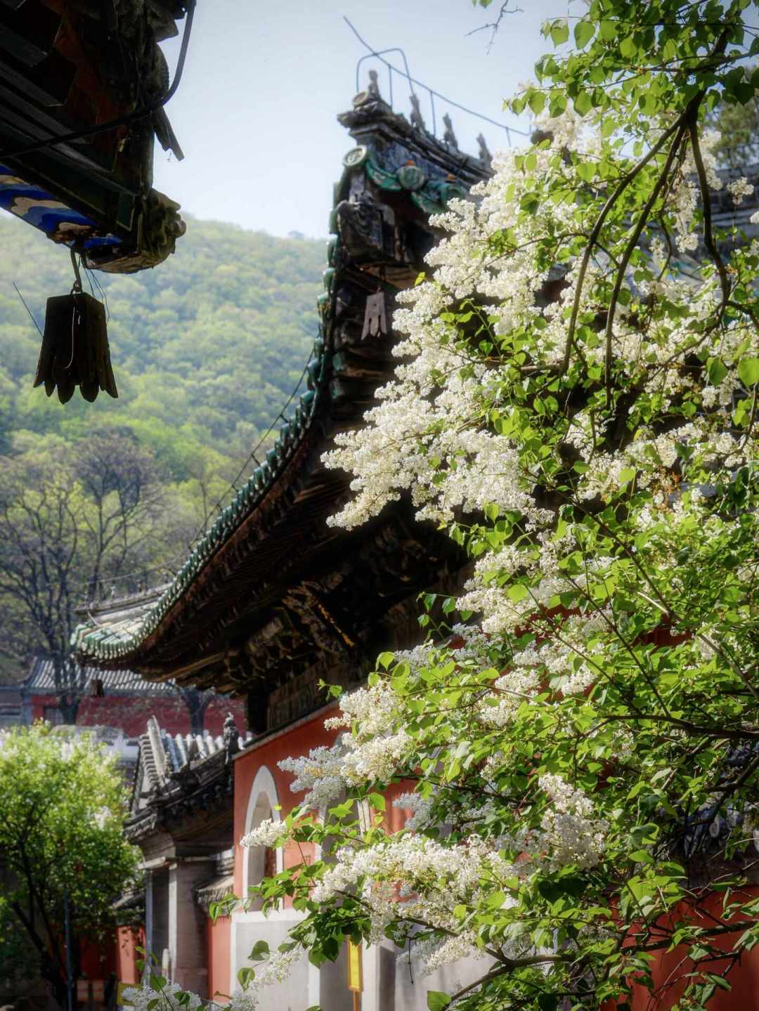 苏有朋回海盐“外婆家”：4个《倚天屠龙记》现实取景地，门票和交通都帮你整理好了