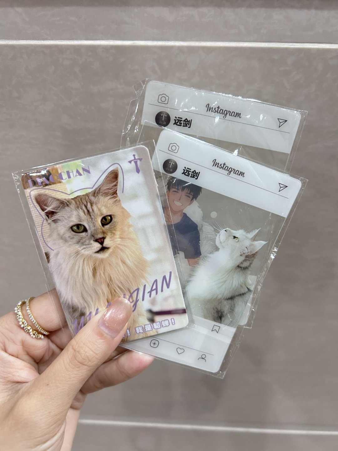林高远的猫咖比赛场还热闹:远剑猫咖打卡攻略与避坑要点