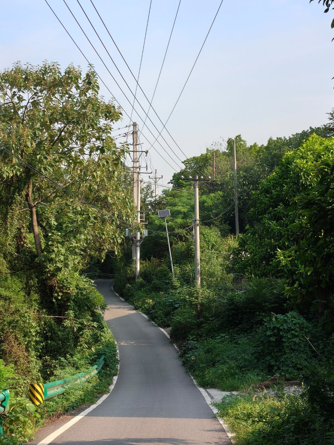 跟着冬天的轨迹8月进山,5公里就没了路:两步路轨迹不会告诉你的3件事