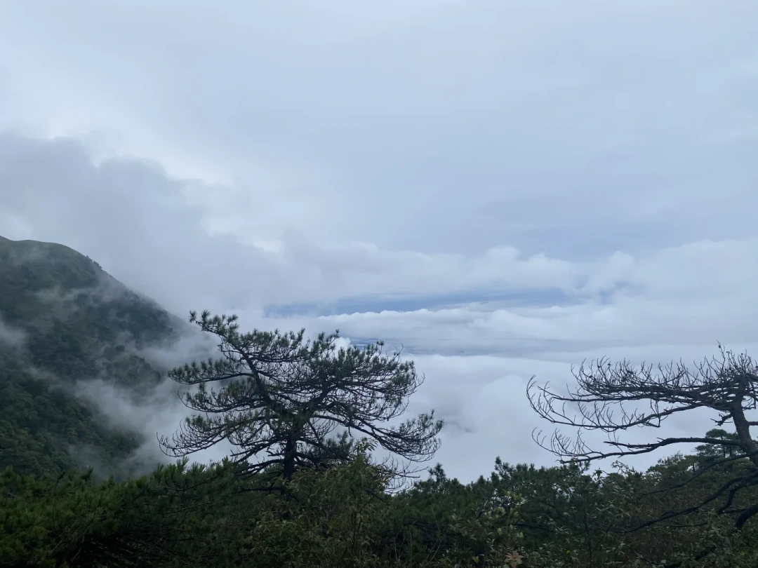 跟着冬天的轨迹8月进山,5公里就没了路:两步路轨迹不会告诉你的3件事