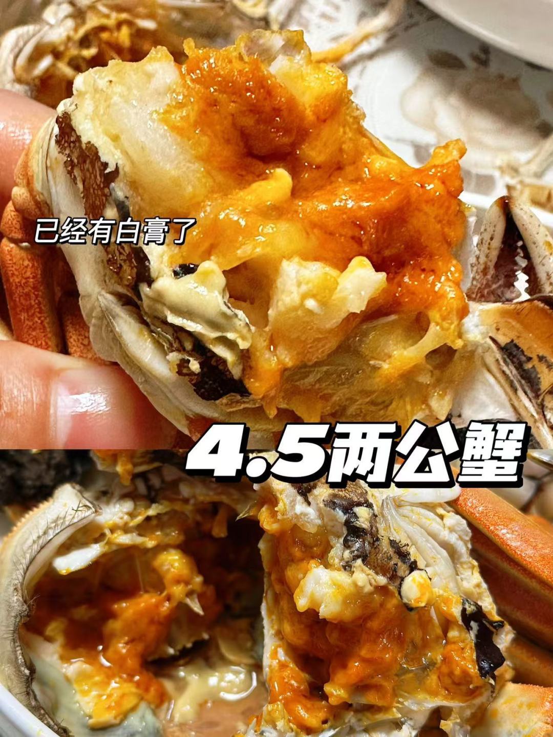 蟹卡预售已经开了,但别赶着中秋兑:翻完3年开捕数据和投诉帖,下单前先看肥度时间表、3档价位和4类不能碰的卡
