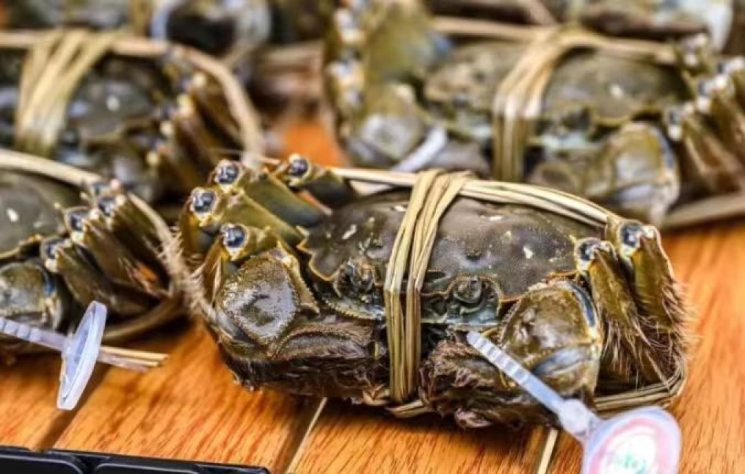 阳澄湖大闸蟹蜕完最后一次壳：真蟹九月下旬才上市，现在开卖的“阳澄湖”别急着买