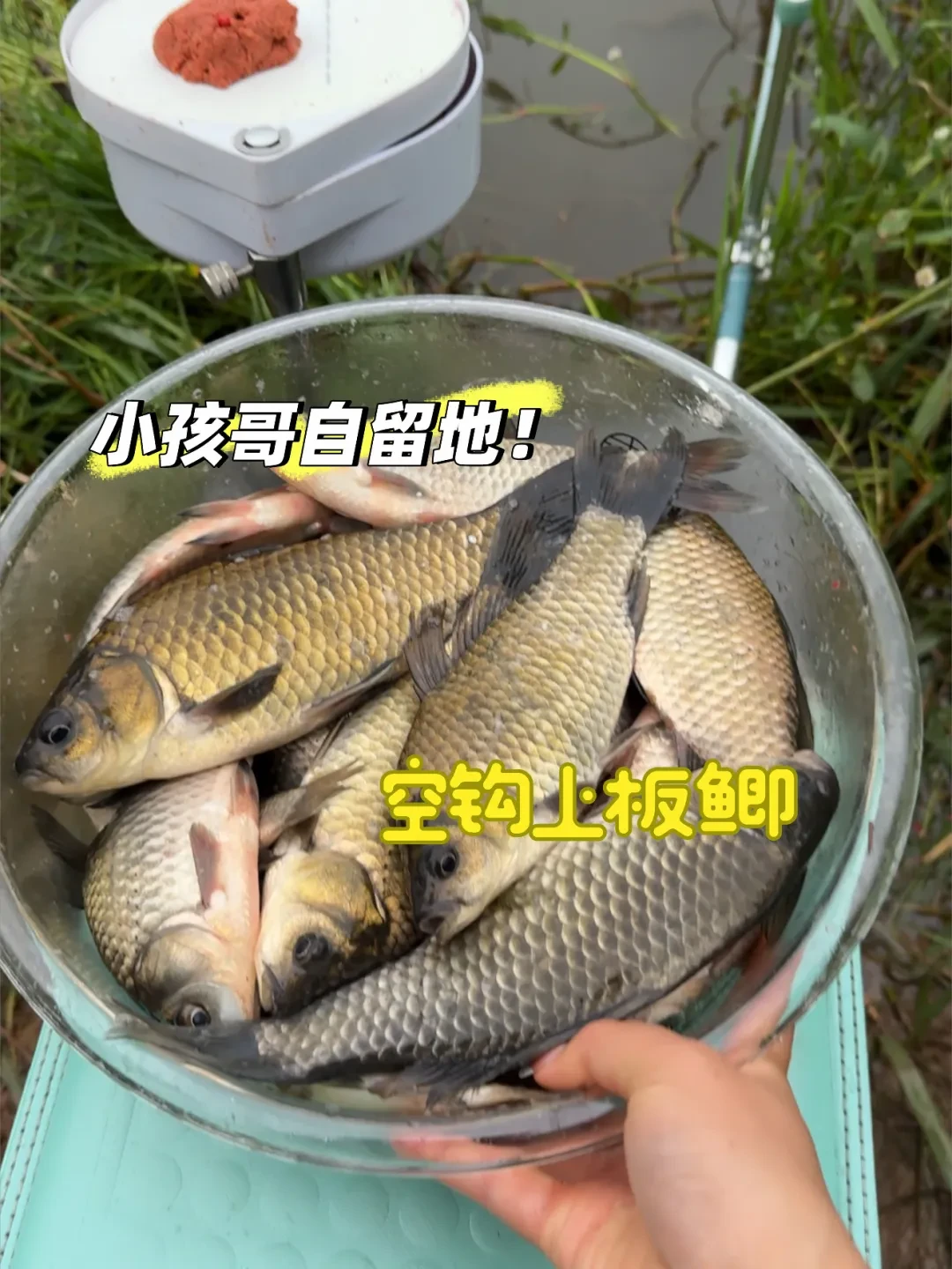 「水里没鱼」是最骗人的一句话:野钓空军5个原因,真没辙的只有2个