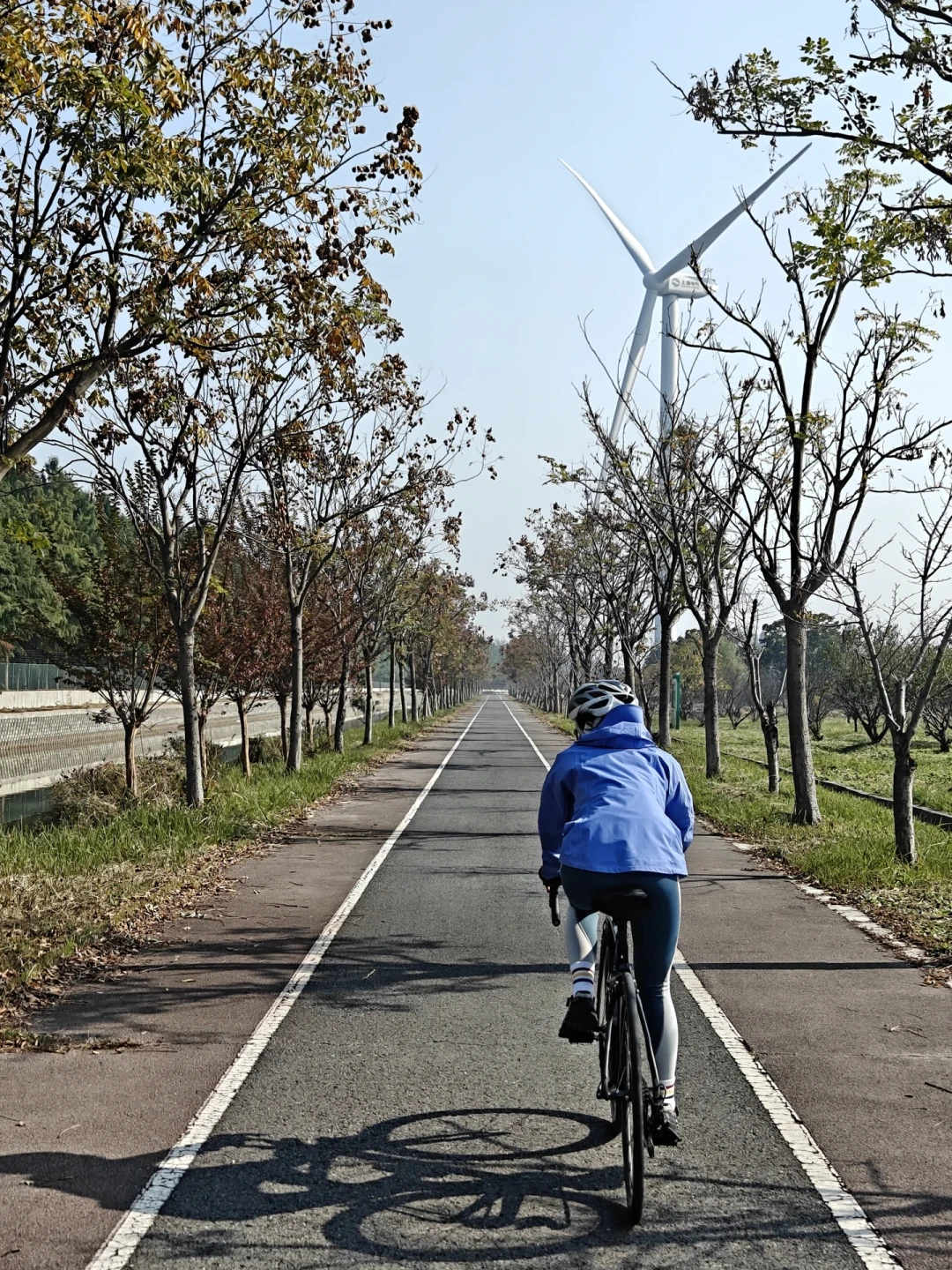 不买架也能玩4+2:全网装车实测整理,你的家用车能塞几辆?