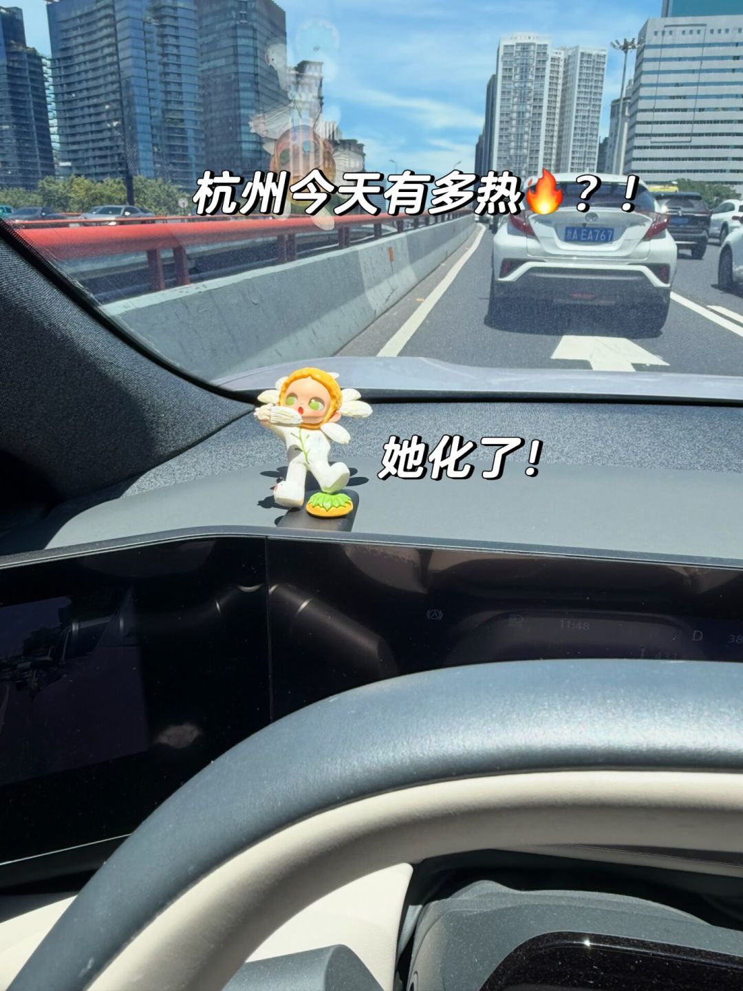鼬在柜子里热成展翅、踏晨露在车里晒肿了脚:翻完13条手办