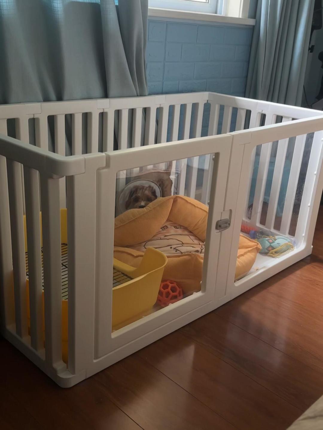 幼犬一关笼就嚎到天亮,到底该不该笼养?翻完全网两派争论和几十篇闲置帖,我整理了这份笼内训练决策表