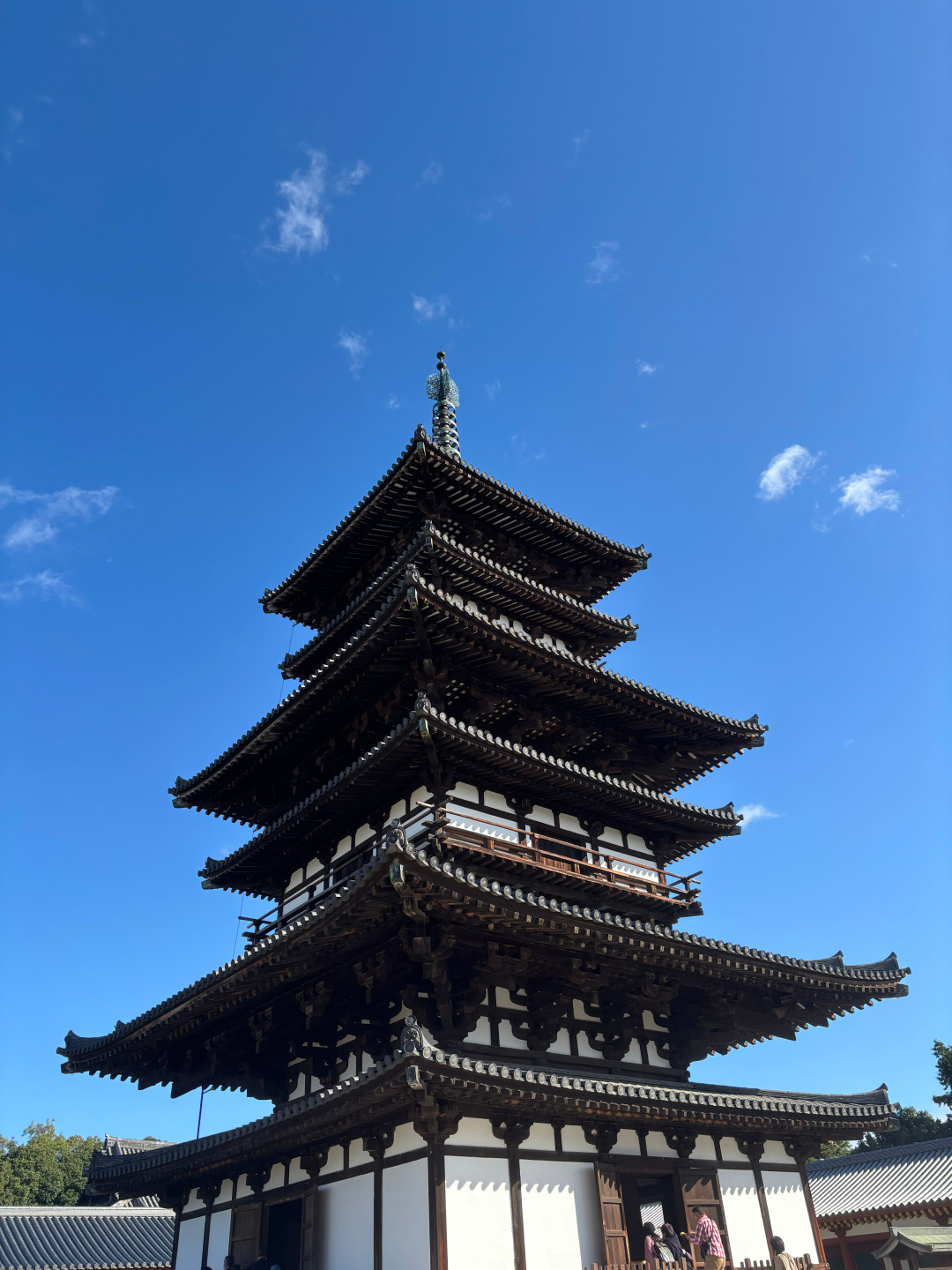世界遗产药师寺国宝被泼油：4个月后在机场被捕，最高5年监禁——这份破坏遗产代价清单值得出发前看看