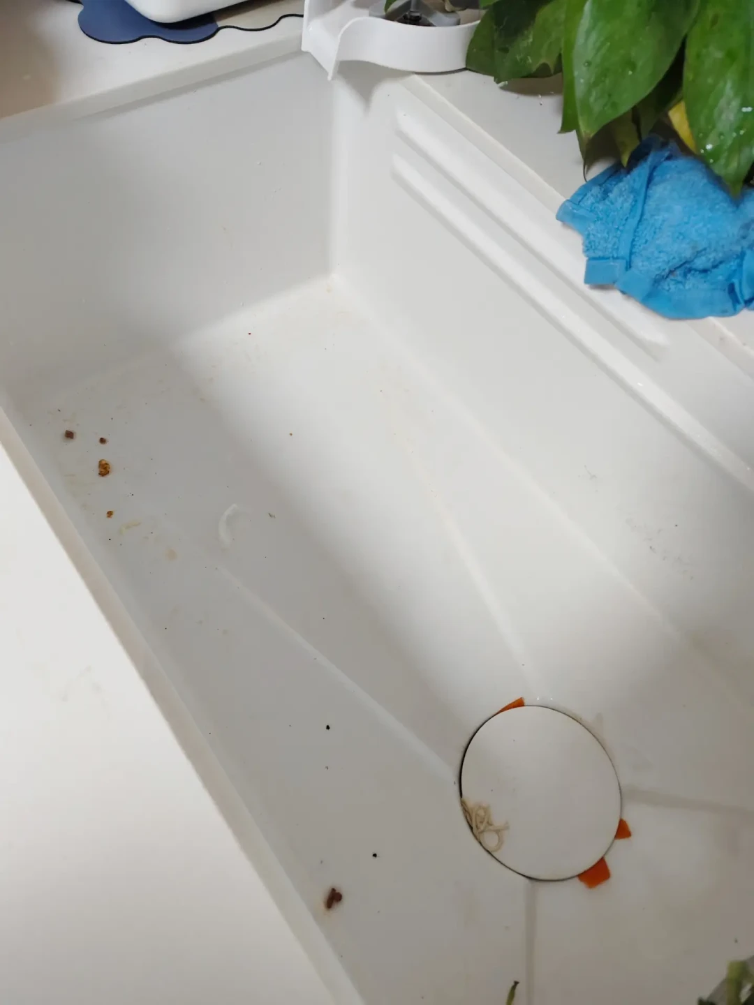 第一批跟风装白色大单槽的人,已经开始含泪劝退了,可关于水槽的争吵到现在都没停:我把尺寸、装法、价格全对了一遍,发现大家把三个问题混在一场架里吵