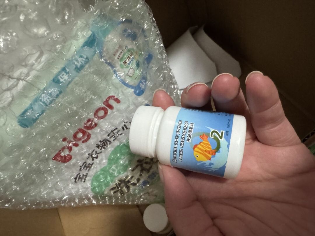 台风天停电怕一缸鱼闷死,急着囤增氧片?翻完全网停电应急实录,最管用的两步恰恰不花钱