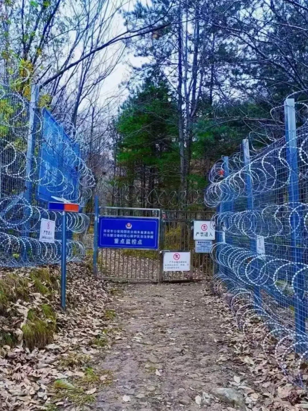 爬野山被救不再一律免费:从6万担架费到280件救生衣,这笔