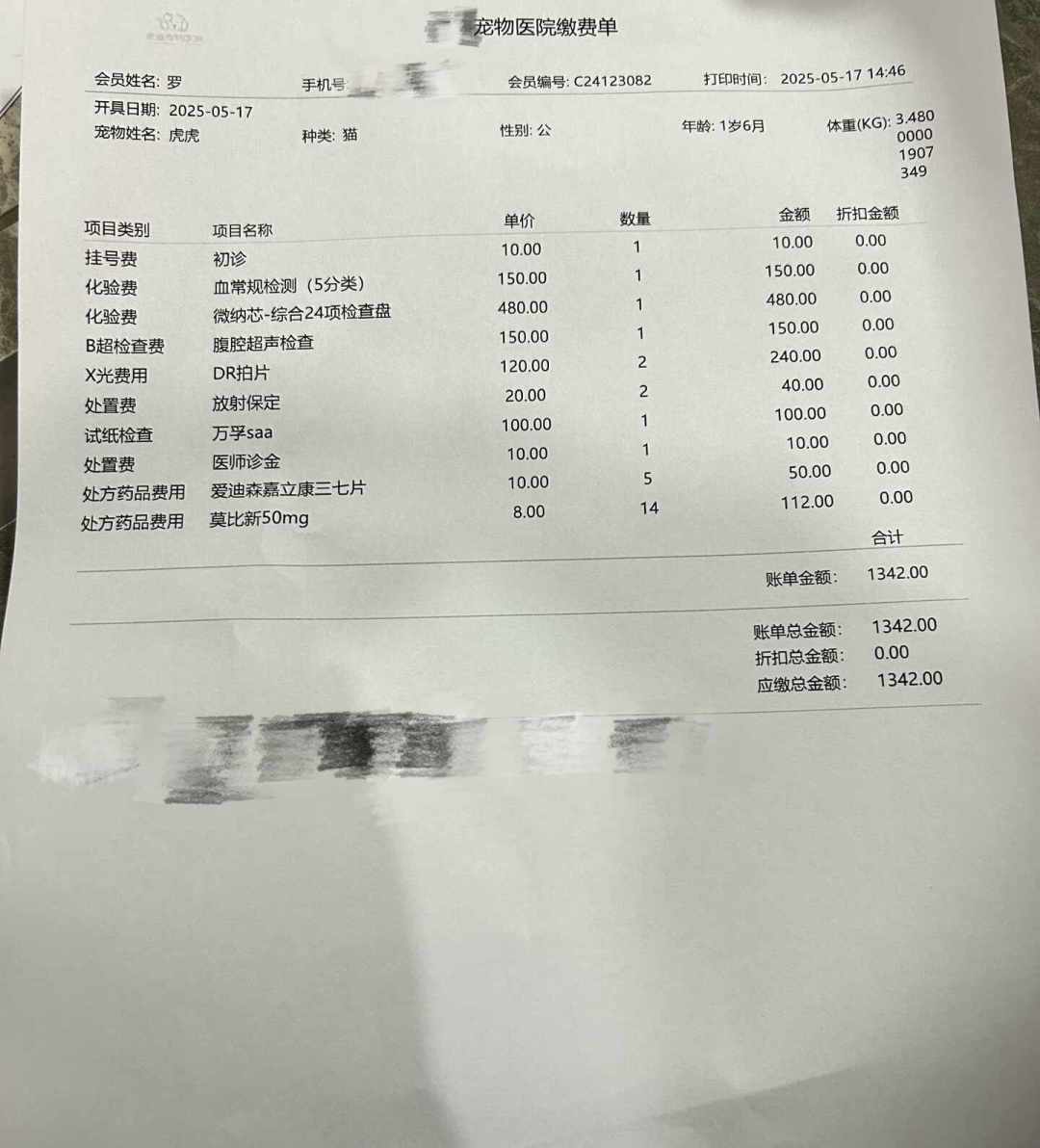 流浪狗被拉去投保,一只狗一年出险12次:全国首例宠物险骗保案告破后,老实看病的人怎么办