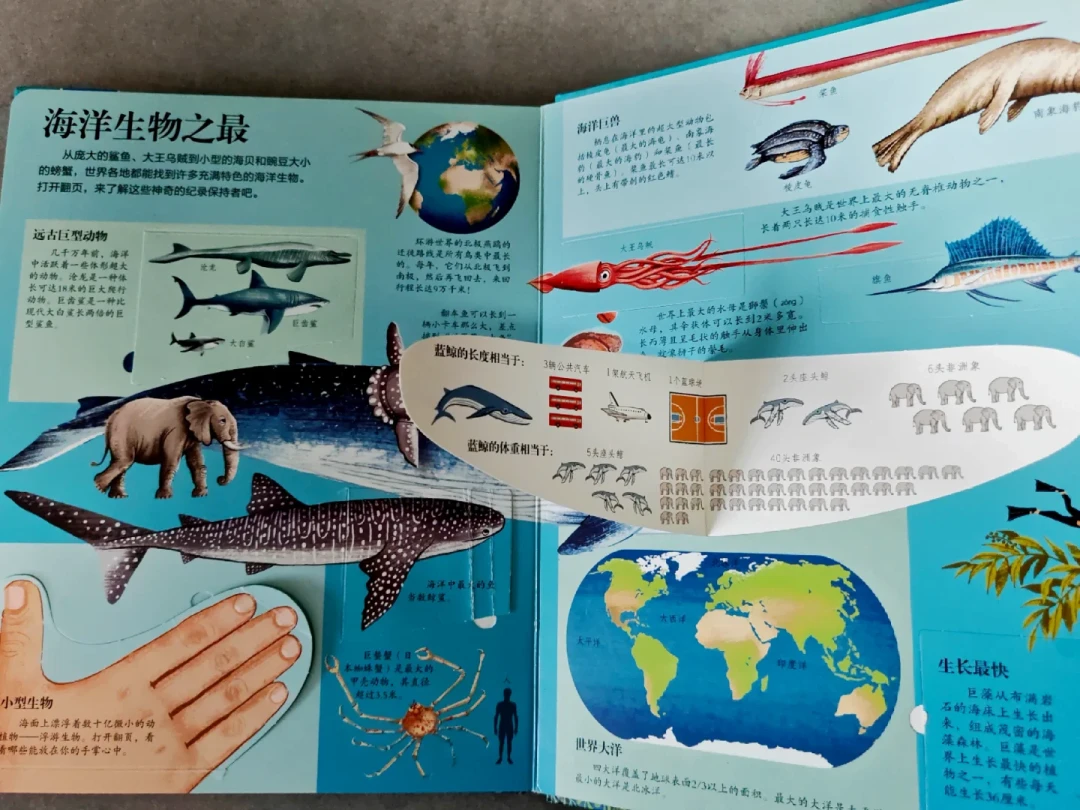 乐乐趣“揭秘”有60多本，但真不用买全套：分清3条线2个版本，再按娃的年龄挑头3本