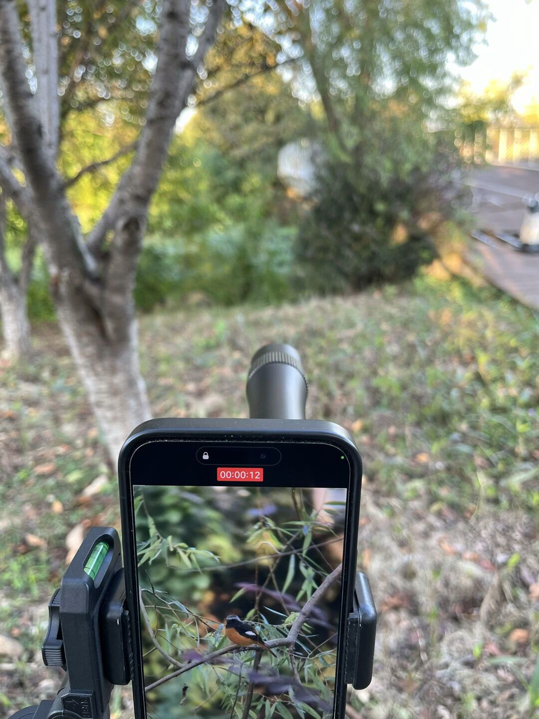 秋迁入坑观鸟摄影,到底要花多少钱?四档预算一次算清