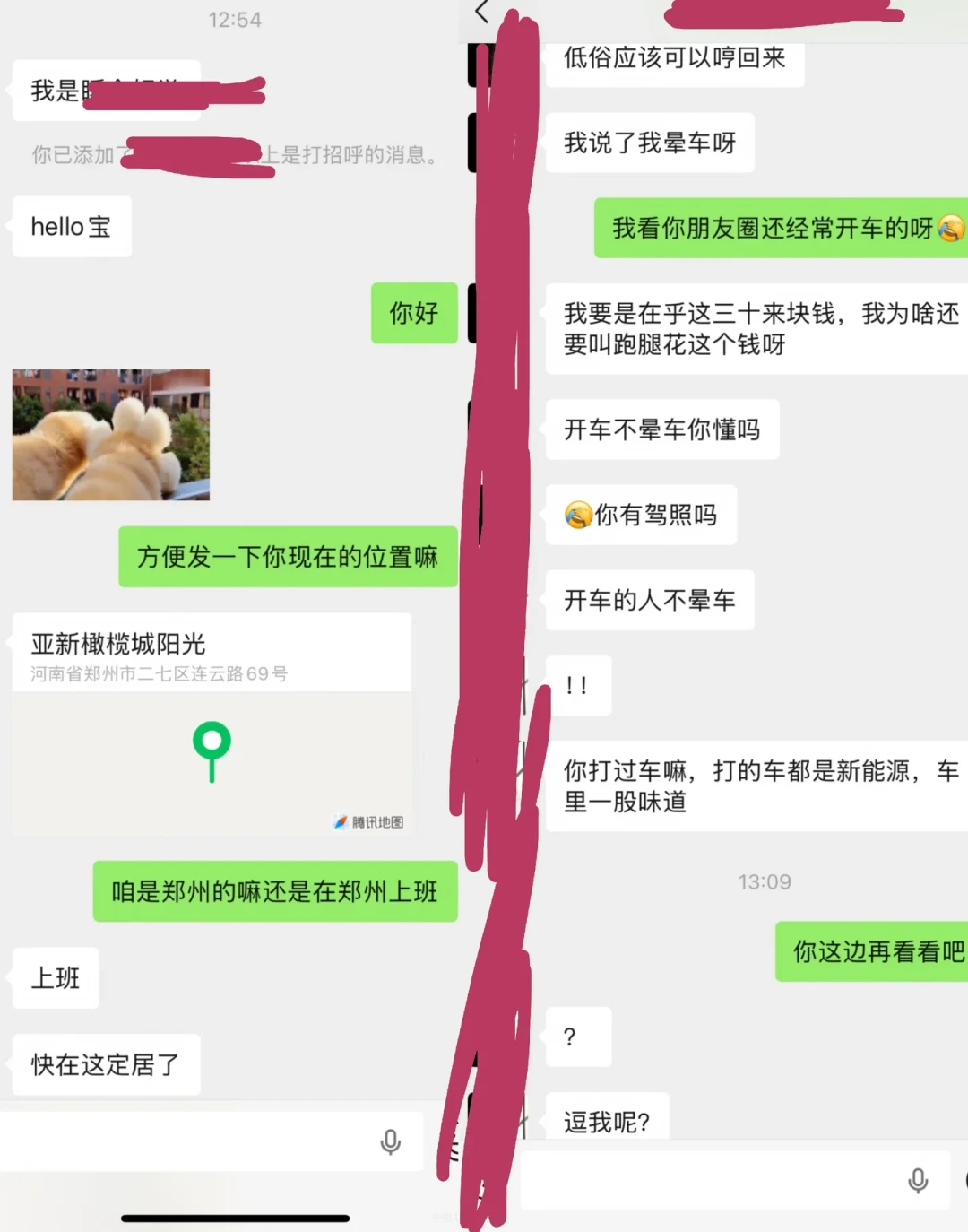 送出去的流浪猫两个月后“突然去世”:我翻完这个夏天的骗猫曝光帖和三份判决,整理出假领养人特征清单和事后维权四步