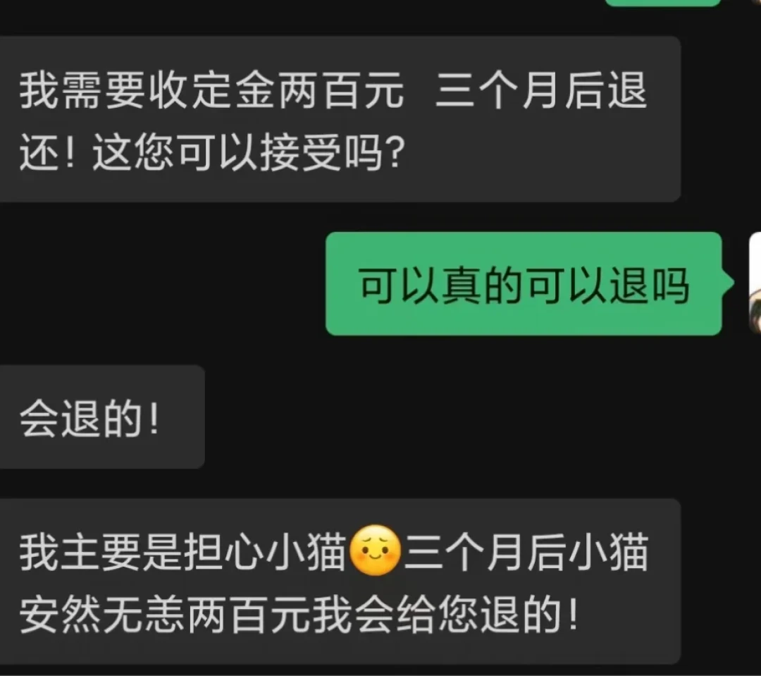 送出去的流浪猫两个月后“突然去世”:我翻完这个夏天的骗猫曝光帖和三份判决,整理出假领养人特征清单和事后维权四步