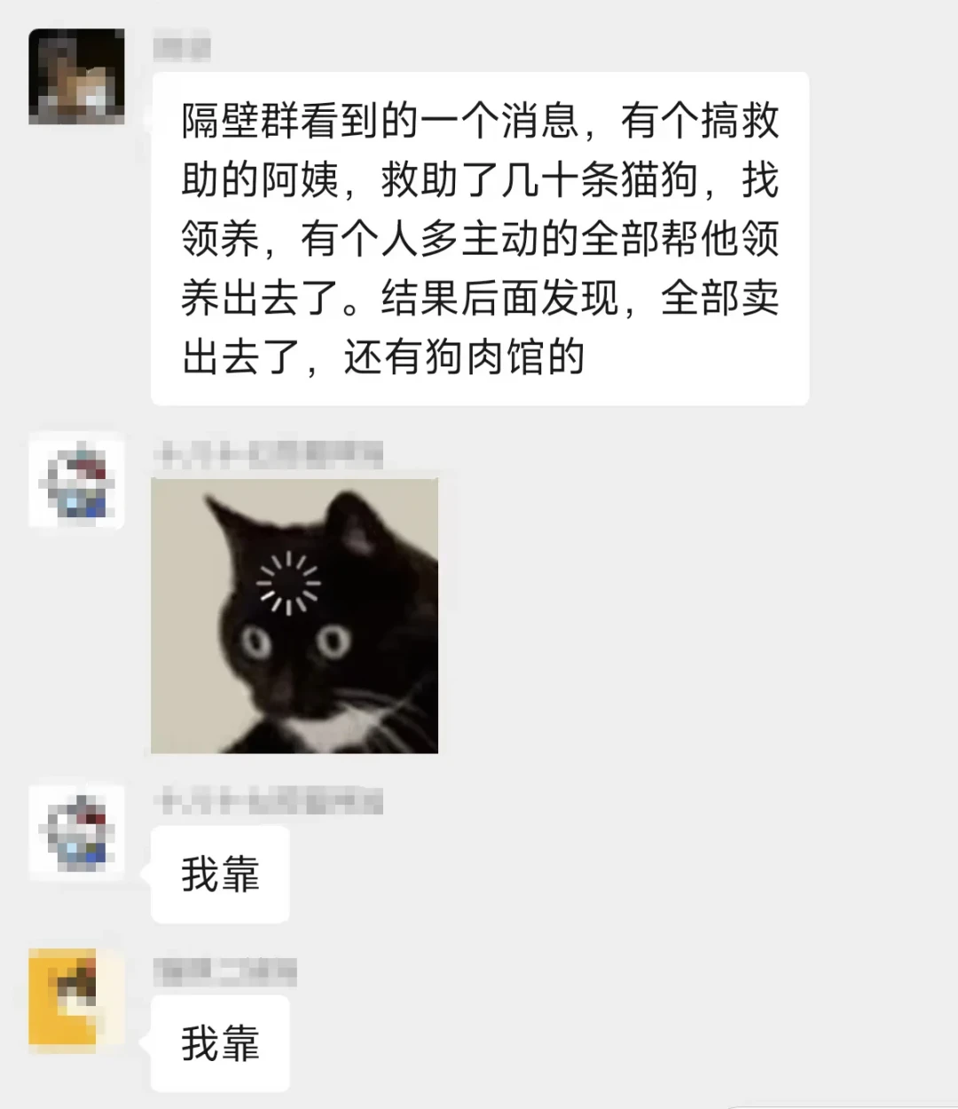 送出去的流浪猫两个月后“突然去世”:我翻完这个夏天的骗猫曝光帖和三份判决,整理出假领养人特征清单和事后维权四步