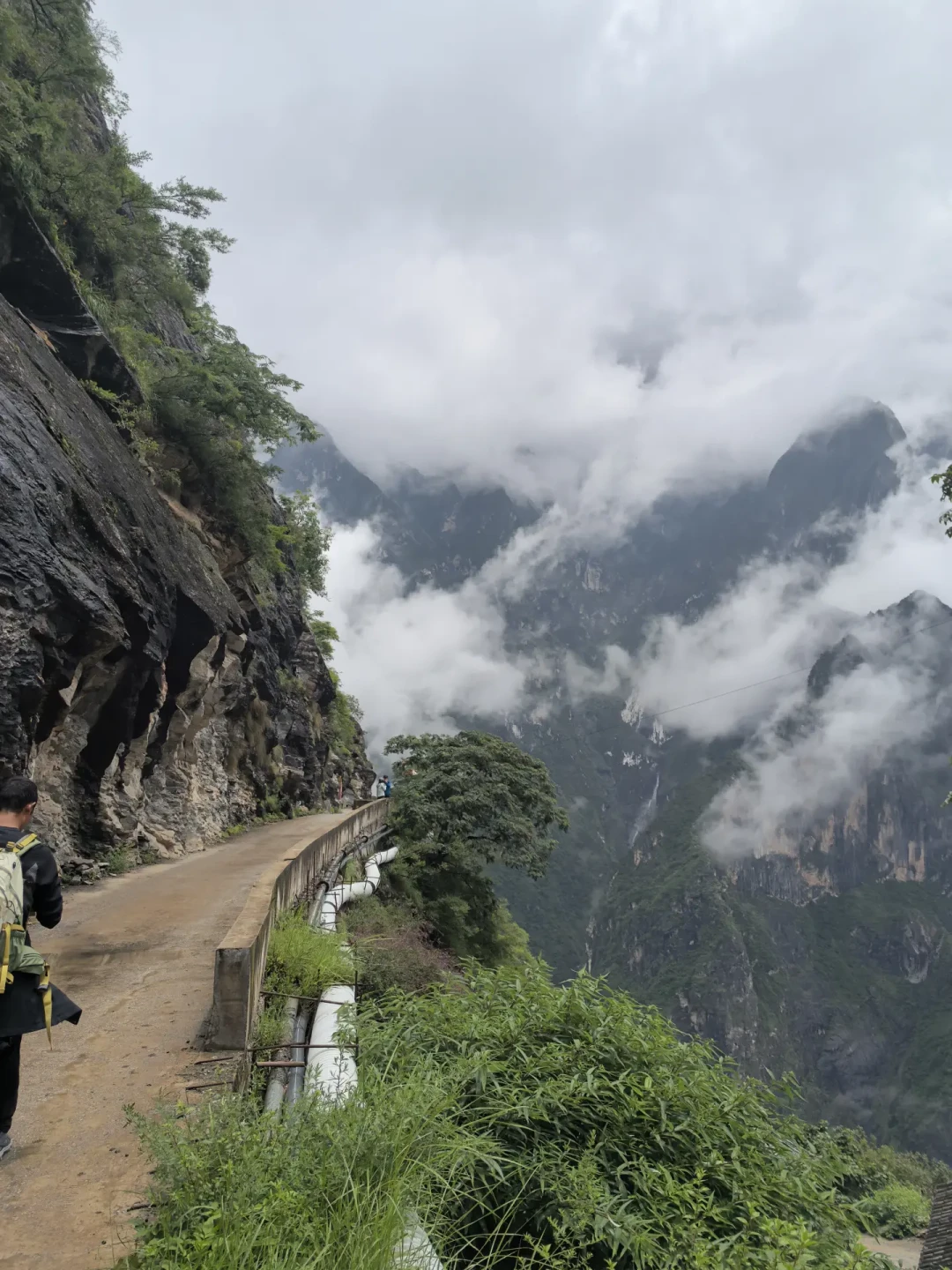 虎跳峡高路装护栏,很多人惋惜野性没了,但更值得看的是它没被封