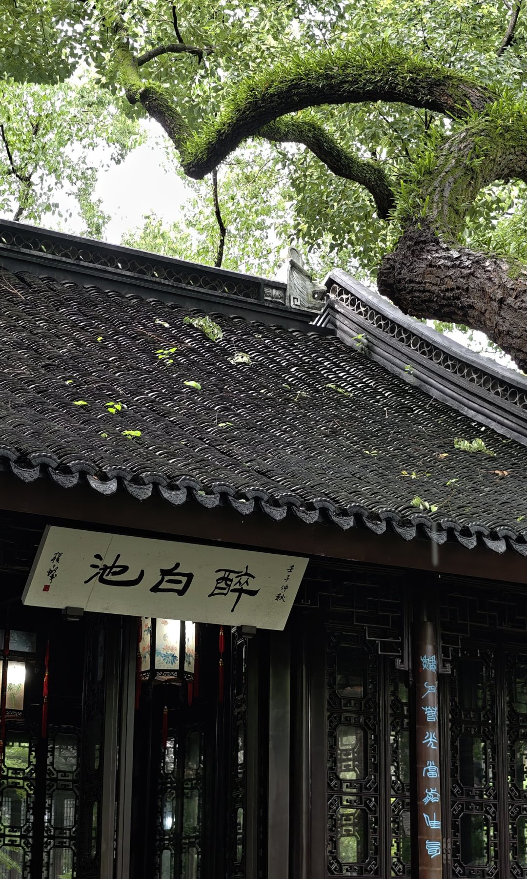 赵孟頫、唐寅、沈周、仇英全是复制品?朵云轩松江特展的真看点恰恰在这