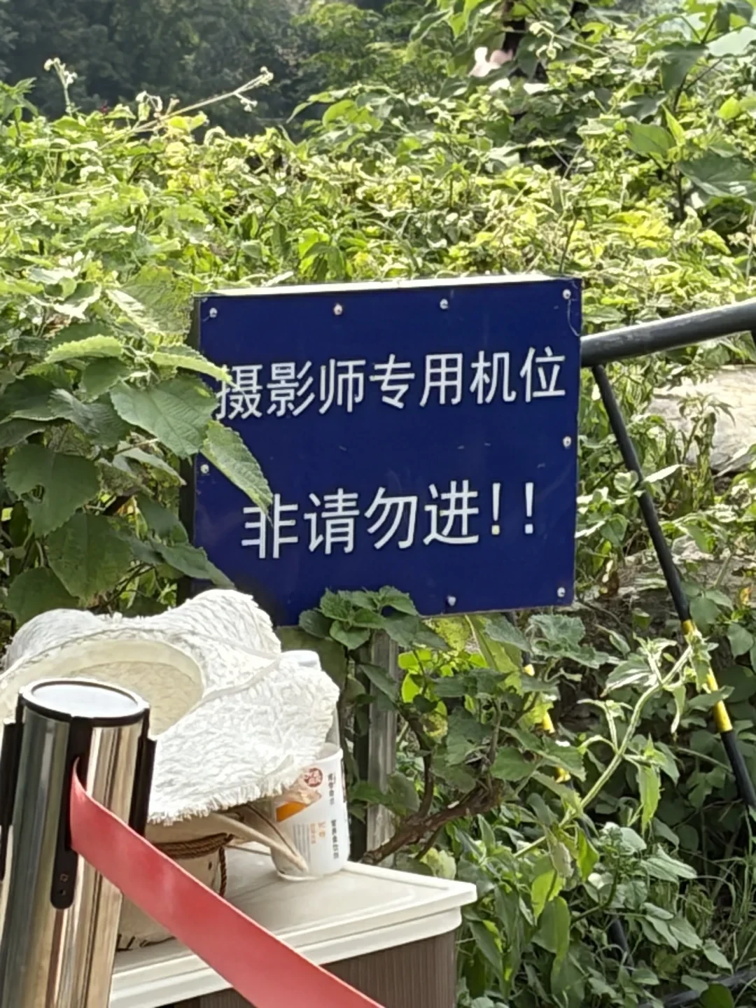 拍照机位被圈起来收费了:今年5起官方通报,把景区旅拍的钱讲明白