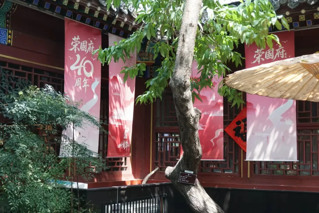 贾府吞了林黛玉的家产?逐条核对这个网红说法的5个证据,只有2个能坐实
